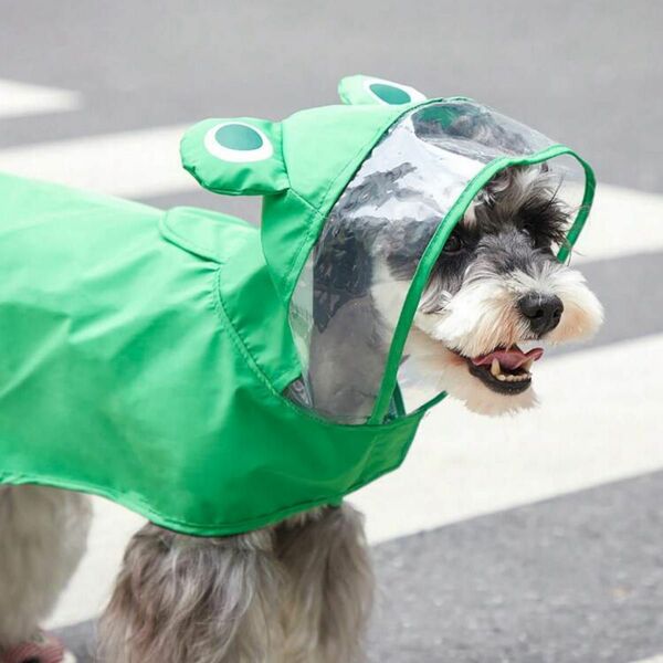 新品 犬 レインコート 雨具 雨がっぱ Mサイズ カエル デザイン グリーン