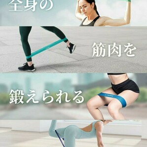 【Tumaz】 エクササイズバンド トレーニングチューブ 体幹トレーニング用ゴムバンド (デジタルガイド付き/色別強度別5本セット筋トレ の画像4