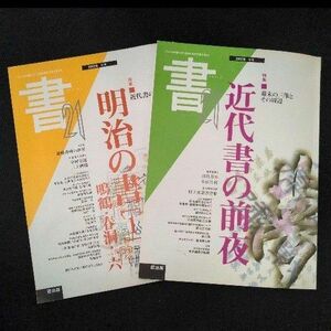 書21 2002.10月と11月号 日下部鳴鶴 巻菱湖 金子亭 青山杉雨 副島種臣