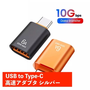 変換アダプタ Type-C to USB 6A 黒 697