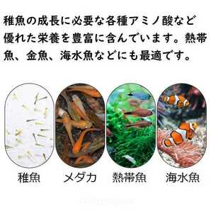 最高級 殻なし ブラインシュリンプ 25g 餌投入器おまけ付きの画像4