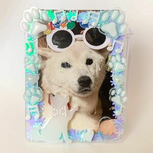 犬　柴犬　青　ブルー　雪の結晶　B8　ホイップデコ　レジン　トレカケース　硬貨ケース　デコ