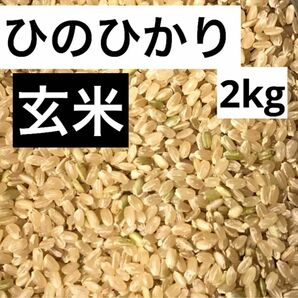 米　玄米　ひのひかり 2kg 福岡県産　2022 年 令和4年 農家直送　無選別　保冷庫保存　