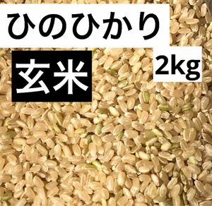 米　玄米　ひのひかり 2kg 福岡県産　2022 年 令和4年 農家直送　無選別　保冷庫保存　