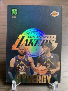 Davis/James 2023-24 Panini Top Class Synergy Lakers NBA Basketball