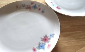 ＊昭和レトロ食器＊花柄の大皿＊Maebata China＊2枚セット＊