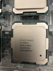 Intel Xeon E5-2620v4 /x99/正規品 /LGA2011 dell hp