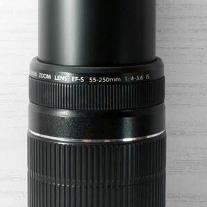 ★Canon EF-S 55-250mm IS★手ぶれ補正付き望遠 1ヶ月動作補償あり！の画像5
