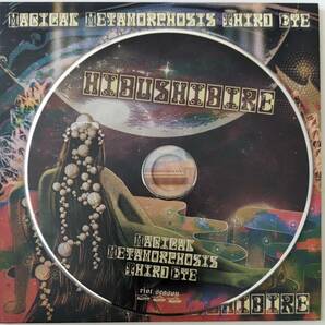 Magical Metamorphosis Third Eye / Hibushibire 秘部痺れ / 輸入CDの画像3
