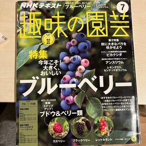 NHKテキスト趣味の園芸　2017 7月号