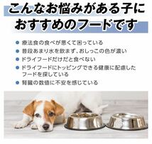 メディムース 犬用 腎臓サポート 95g×15個_画像7