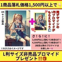 rzm3 [おまけあり] A4サイズ ポスター 同人 アニメ ファンアート 写真 高画質 冷泉麻子 ガルパン ガールズ&パンツァー_画像2