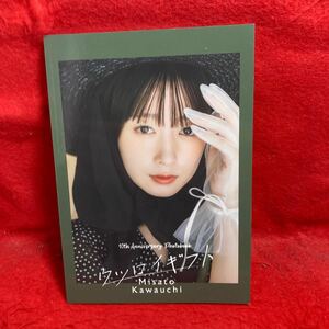 ▼河内美里(女優 シンガーソングライター 声優)Misato Kawauchi 10th anniversary photobook ウツロイギフト フォトブック