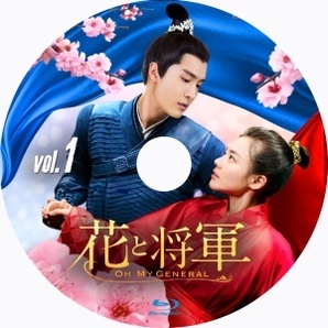 花と将軍～Oh My General『いちご』中国ドラマ『トラジ』Blu-ray「Hot」の画像2