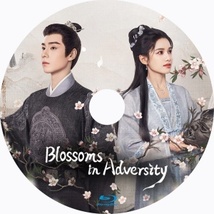 Blossoms in Adversity（自動翻訳）『Sit』中国ドラマ『オロ』Blu-ray「Hot」★5/16以降発送_画像2