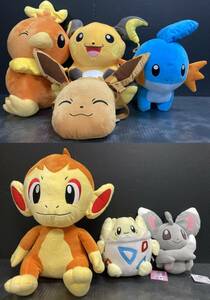 #[ present condition goods ] Pokemon soft toy ② pouch 7 point set /hi Kozaru chila-mi.togepi-mizgo low a tea moi-bilaichuu other 