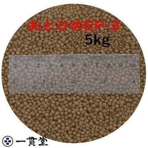 おとひめEP3(約2.9～約3.3mm) 5kg(500g×10袋) 沈降性(沈下性) 日清丸紅飼料 金魚 アロワナ 肉食魚に 倉出し　 10002351