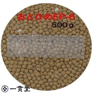 おとひめEP6(約5.4mm～約6.4mm) 500g 沈降性(沈下性) 日清丸紅飼料 金魚 アロワナ 肉食魚に