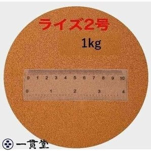 ライズ2号 1kg(500g×2袋） (粒径0.36mm) 小分け品 メダカ めだか エサ 餌 おとひめ ハイグロウ リッチ 送料無料の画像1