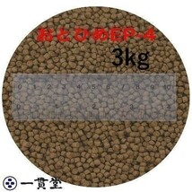 おとひめEP4(約3.4mm～約4.0mm) 3kg(500g×6袋) 沈降性(沈下性) 日清丸紅飼料 金魚 アロワナ 肉食魚に_画像1