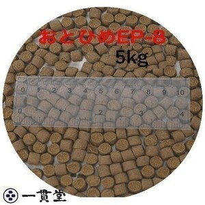 おとひめEP8(約6.8mm～約8.0mm) 5kg(500g×10袋) 沈降性(沈下性) 日清丸紅飼料 金魚 アロワナ 肉食魚に