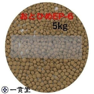 おとひめEP6(約5.4mm～約6.4mm) 5kg(500g×10袋) 沈降性(沈下性) 日清丸紅飼料 金魚 アロワナ 肉食魚に 倉出し　 10002354