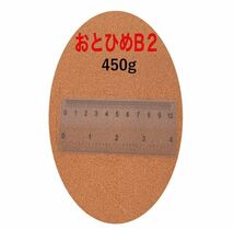 日清丸紅飼料 おとひめB2 450g (0.36～0.62mm) 沈降性(沈下性)小分け品 500gから規格変更 10002498_画像1