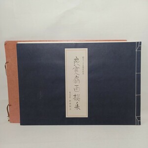 Art hand Auction Ryokan Senmenshu BSN Museo de Arte de Niigata, Niigata Broadcasting Poeta Calígrafo Soto Arte Budista Zen, Cuadro, Libro de arte, Recopilación, Libro de arte