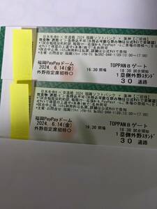 6/14（金）福岡ソフトバンクホークスVS阪神タイガース　　１塁側外野指定席　ペア