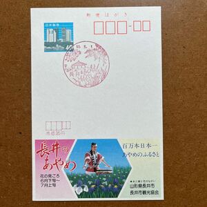 エコーはがき・初日風景印 ・60. ５.1. 長井・　長井のあやめ