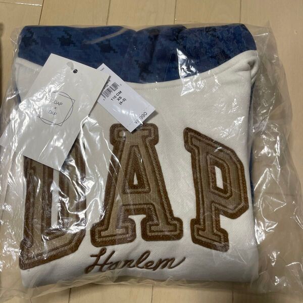 GAP DAP ダッパーダンコラボ 110 XS