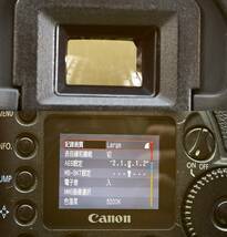 キヤノン EOS 10D (28) 完全動作品　ボディキャップ／バッテリー付 最終ファーム_画像6