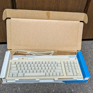 【６色林檎】Apple Keyboard II & ADBケーブルの画像5