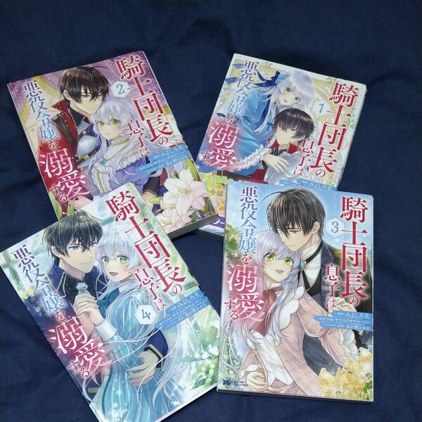 騎士団長の息子は悪役令嬢を溺愛する①〜④