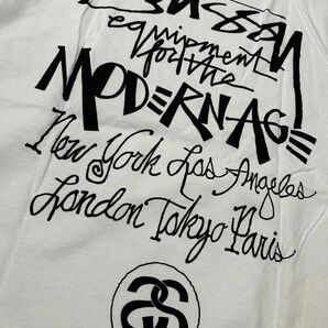 STUSSY ストゥーシー　Tシャツ 新品　XL