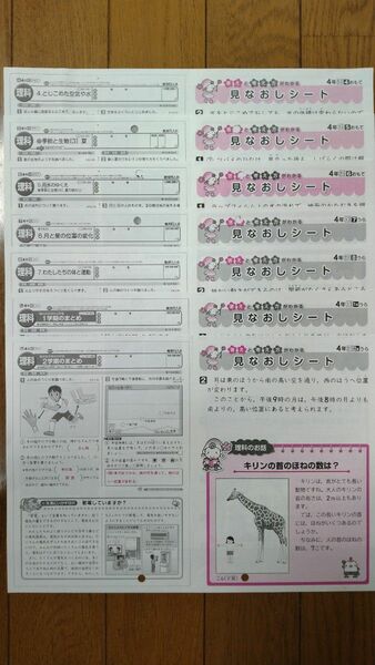 小学４年生 理科 カラーテスト 見なおしシート 大日本図書 教育同人社