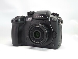 Panasonic LUMIX GH5 + G 14mm f2.5 ASPH ミラーレス カメラ パナソニック ルミックス 単焦点レンズ バッテリーなし 動作OK 