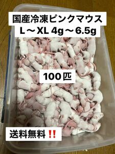 国産冷凍ピンクマウスL 、XL混合　100匹　4.0g〜6.5g