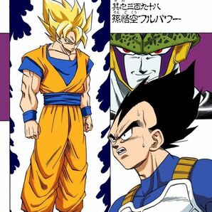 孫悟空 フルリペイント セル ドラゴンボール MSP フィギュア DRAGONBALL 一品物 ドラゴンボールZ セルゲームの画像2