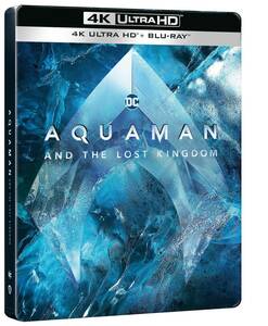 日本語収録 アクアマン 失われた王国/AQUAMAN AND THE LOST KINGDOM 国内未発売 4K UHD スチールブック 未開封