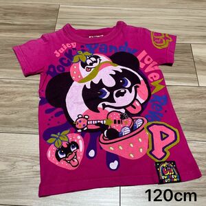 ラブレボ 120cm Tシャツ