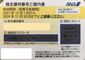 ANA株主優待　2024/11/30迄　通知対応可