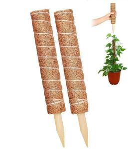 2 pcs set decorative plant gardening mine timbering stylish monstera natural coconut 30.