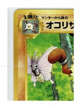 トロピカル闘-57オコリザル■ポケモンカードゲーム　トロピカルアイランド■未使用 ポケモンカード　旧裏面　旧裏_画像3