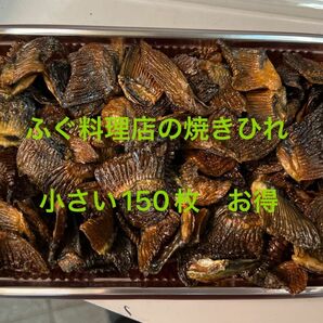 ふぐ料理店の焼きひれ　本格ひれ酒　小さい150枚　とてもお得　お値引き中