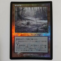 FOIL 産卵池 ULG 日本語版 MTG_画像1