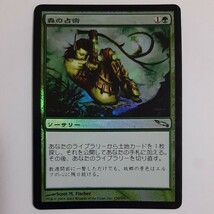 FOIL 森の占術 MRD 日本語版 MTG_画像1