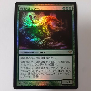 FOIL 捕食者のウーズ DKA 日本語版 MTG