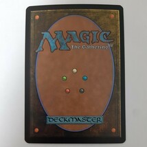 FOIL 疫病風 8ED 日本語版 MTG_画像2