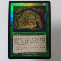 FOIL 荒々しき自然 7ED 日本語版 MTG_画像1